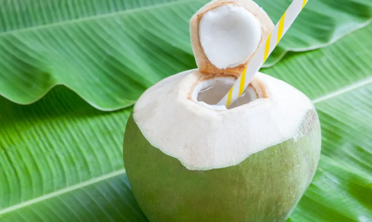 Inilah Waktu Terbaik untuk Minum Air Kelapa agar Manfaatnya Maksimal